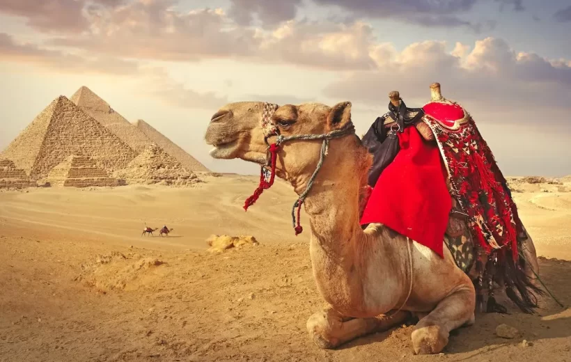 Full day tour to Cairo from Aswan by flight -