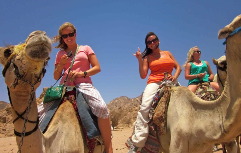 Luxor Camel Ride -