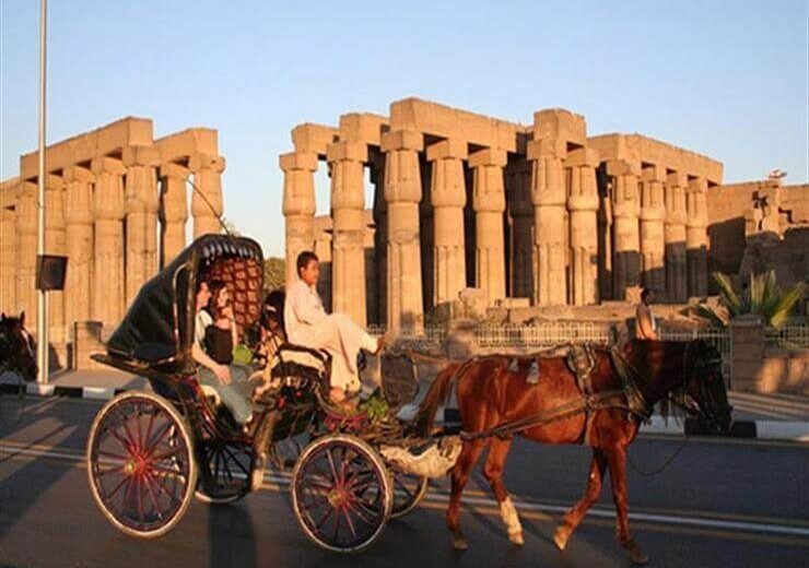 Luxor City tour by Horse Carriage -