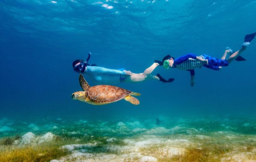 Snorkeling Trip & Excursion from Safaga Port -