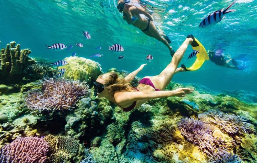 Snorkeling Trip At Port Ghalib Marina from Marsa Alam -