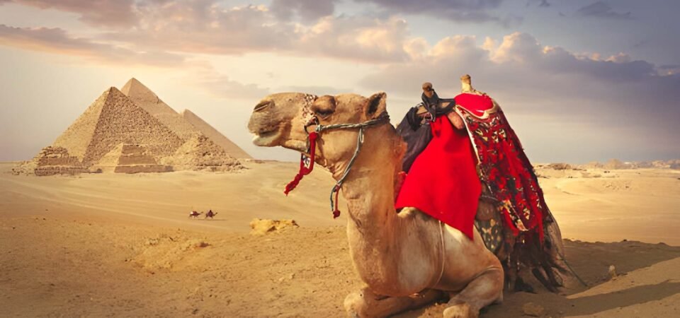 7 Days Egypt Adventure Tour