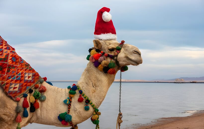 8 Days Egypt Christmas Holiday