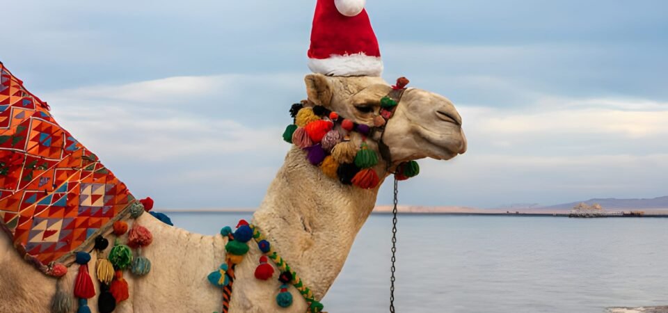 8 Days Egypt Christmas Holiday