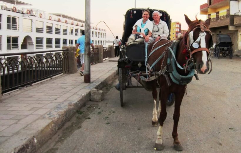 Aswan City Tour in Horse Carriage -