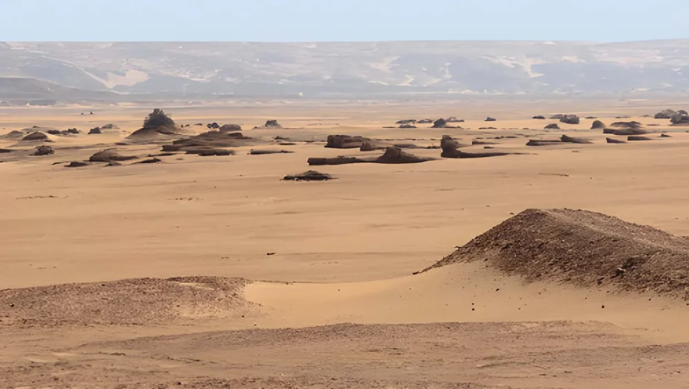 How Plan Trip Egypt