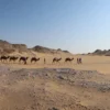 The Best Time Visit Egypt