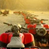 Top Wildlife Experiences Egypt