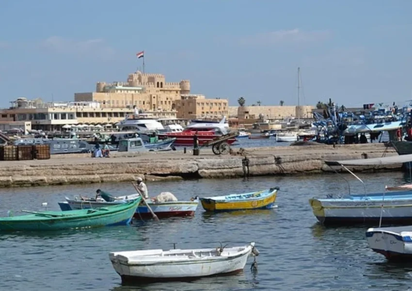 What Alexandria
