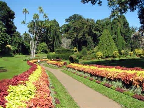 Private day tour to The Botanic Gardens and Botanical Museum -