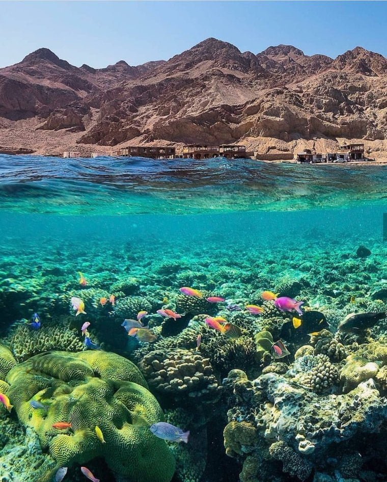 Sharm El-Shiekh